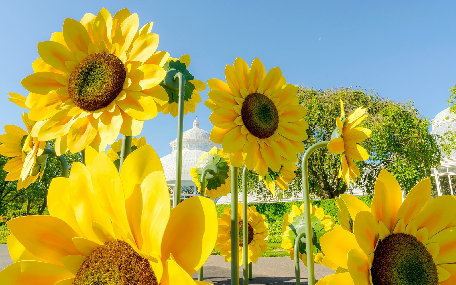 Visitors exploring lush greenery inside New York Botanical Garden, surrounded by diverse plant species.