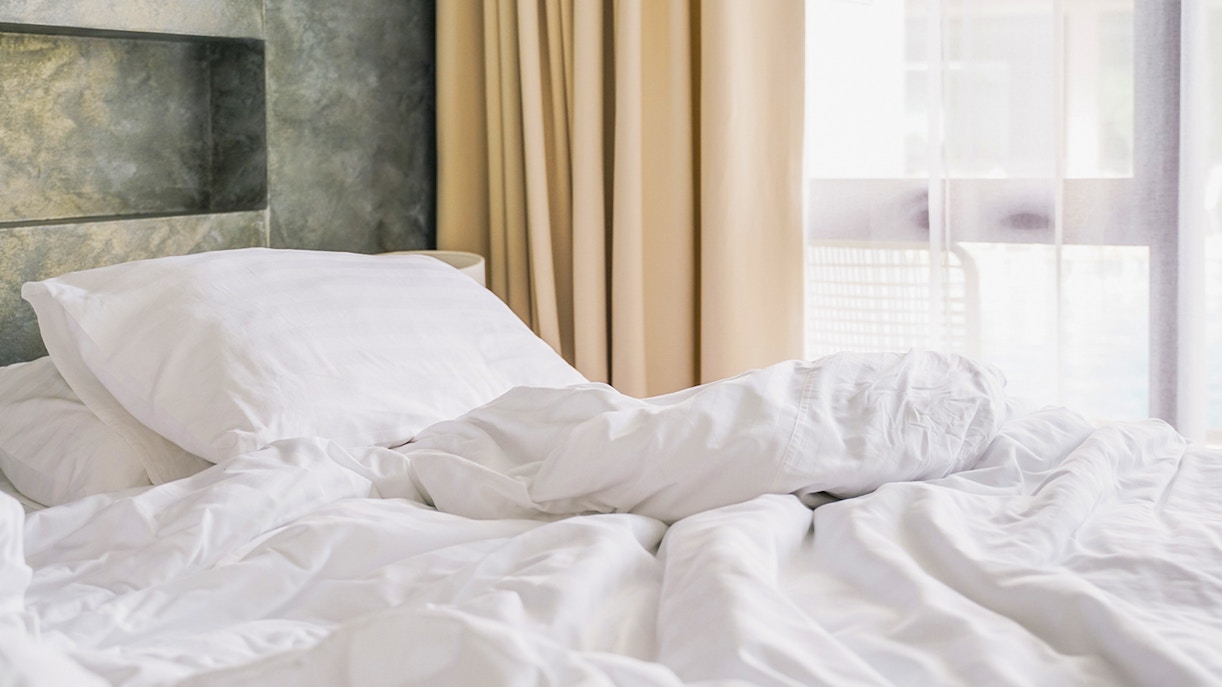 Zuiderzee Museum traditional Dutch village scene with historic buildings and canal.