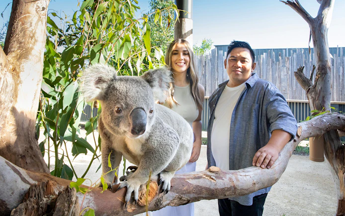Couple posing with a koala at Sydney Zoo.