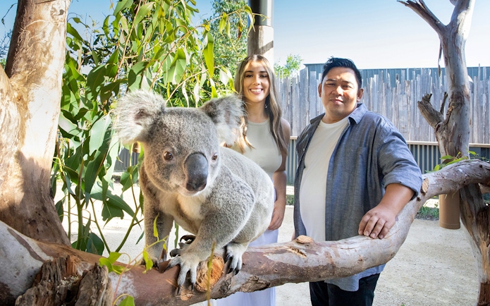 Couple posing with a koala at Sydney Zoo.