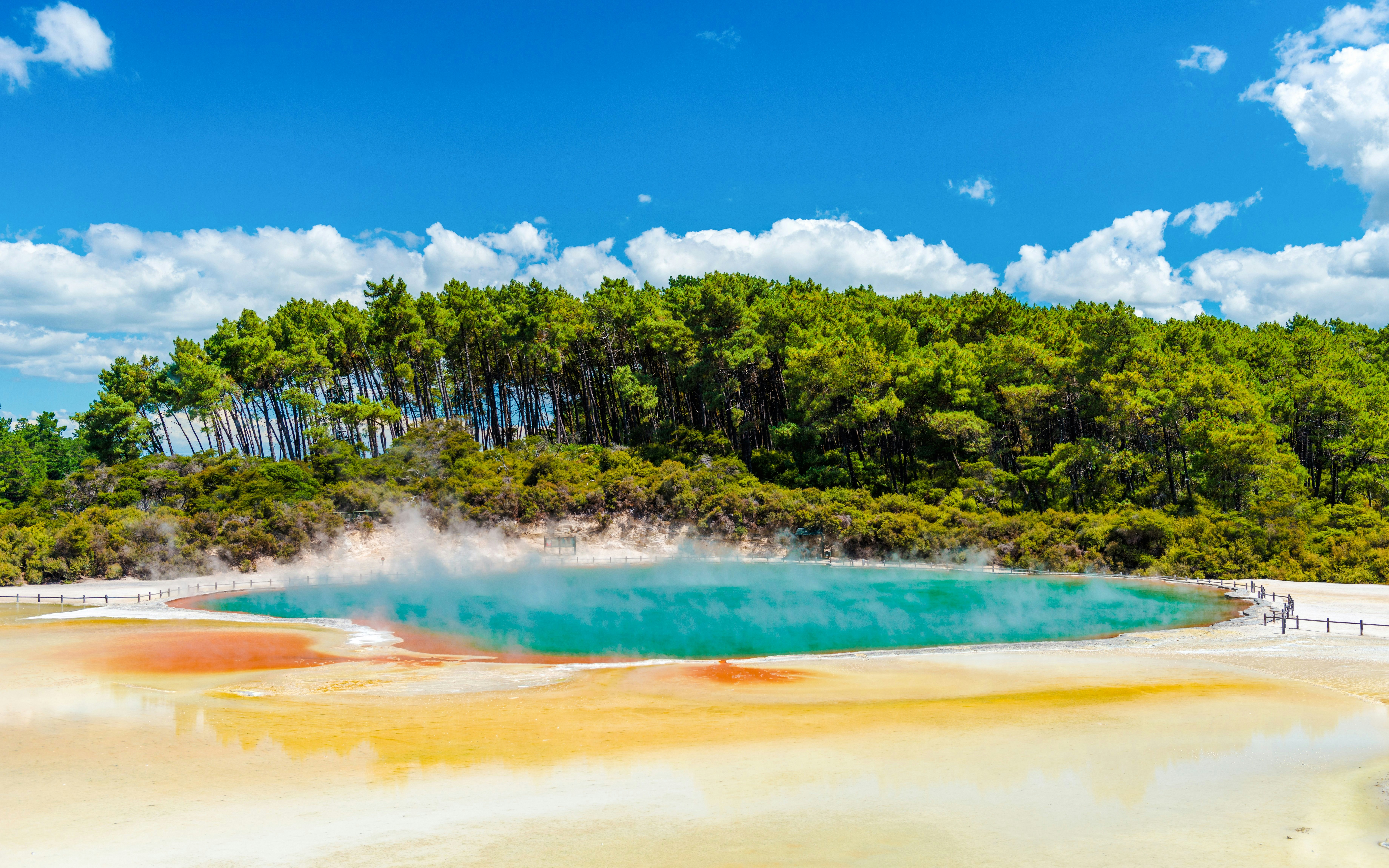 Boiling water in Champagne Pool, Wai-O-Tapu, New Zealand with colorful mineral deposits.