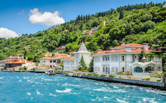 Coastal view of historic mansions on the Princes' Islands, Turkey, with lush greenery and blue waters.