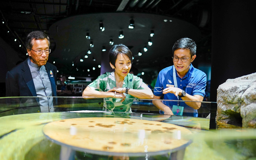 Visitors exploring the Discovery Pool at Singapore Oceanarium.