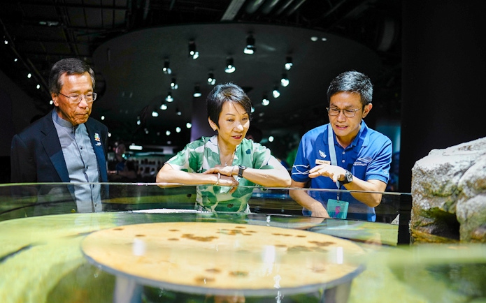 Visitors exploring the Discovery Pool at Singapore Oceanarium.