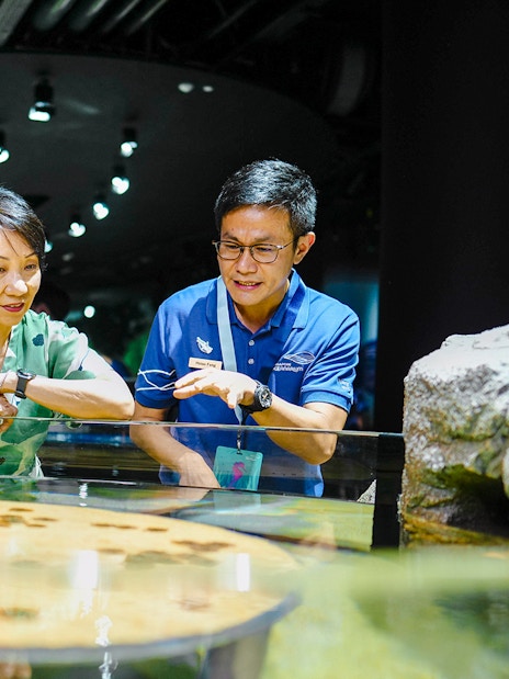 Visitors exploring the Discovery Pool at Singapore Oceanarium.