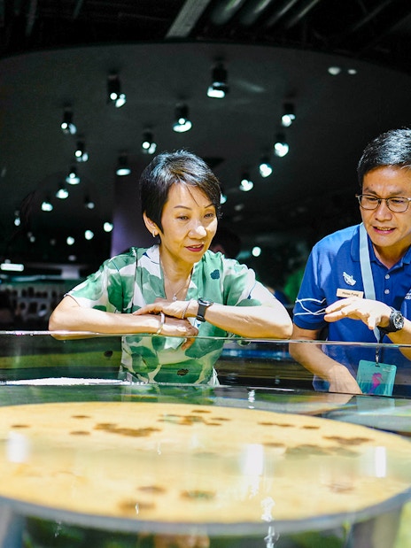 Visitors exploring the Discovery Pool at Singapore Oceanarium.