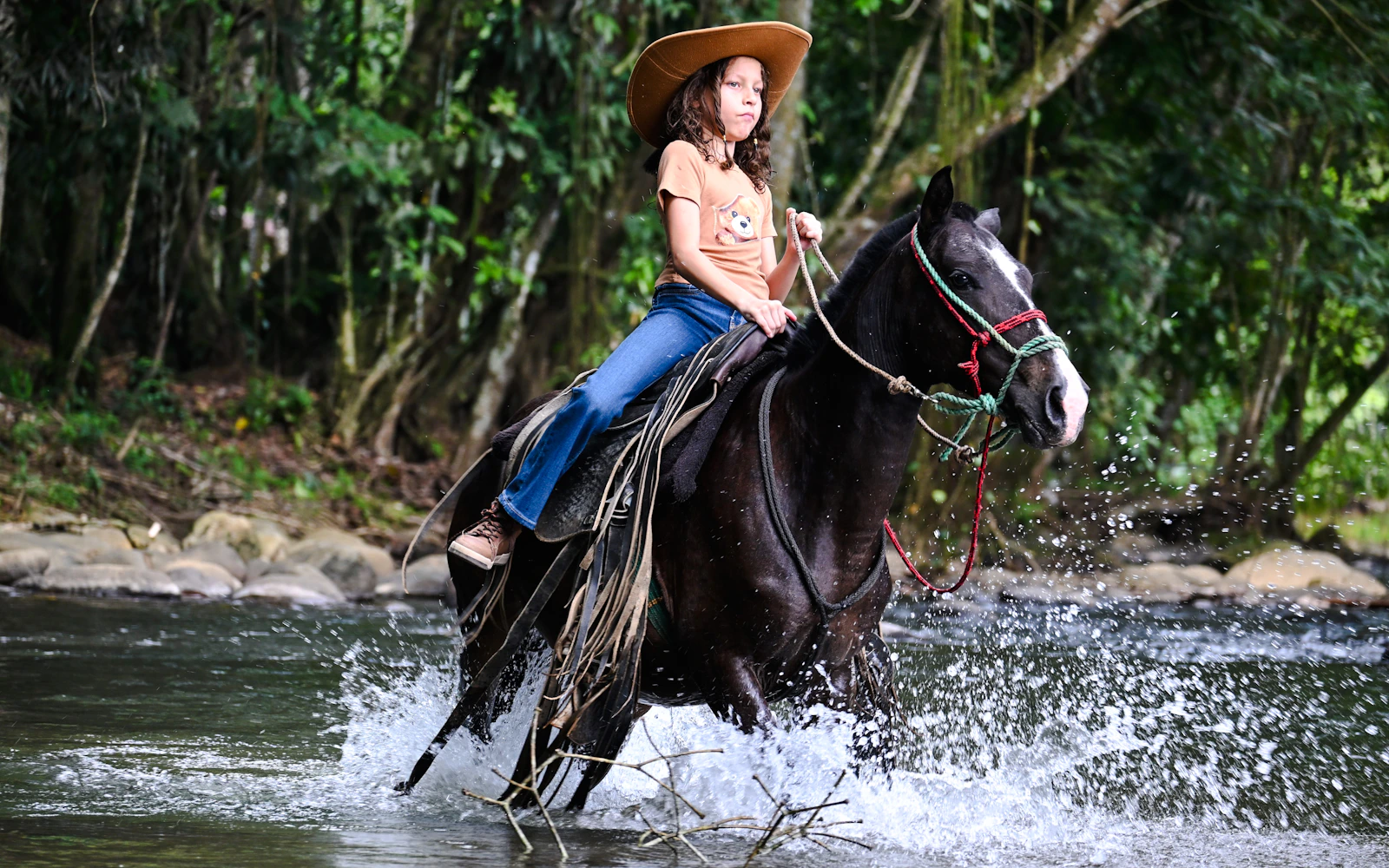 La Fortuna Horseback Riding Tour with River Crossing Image 12