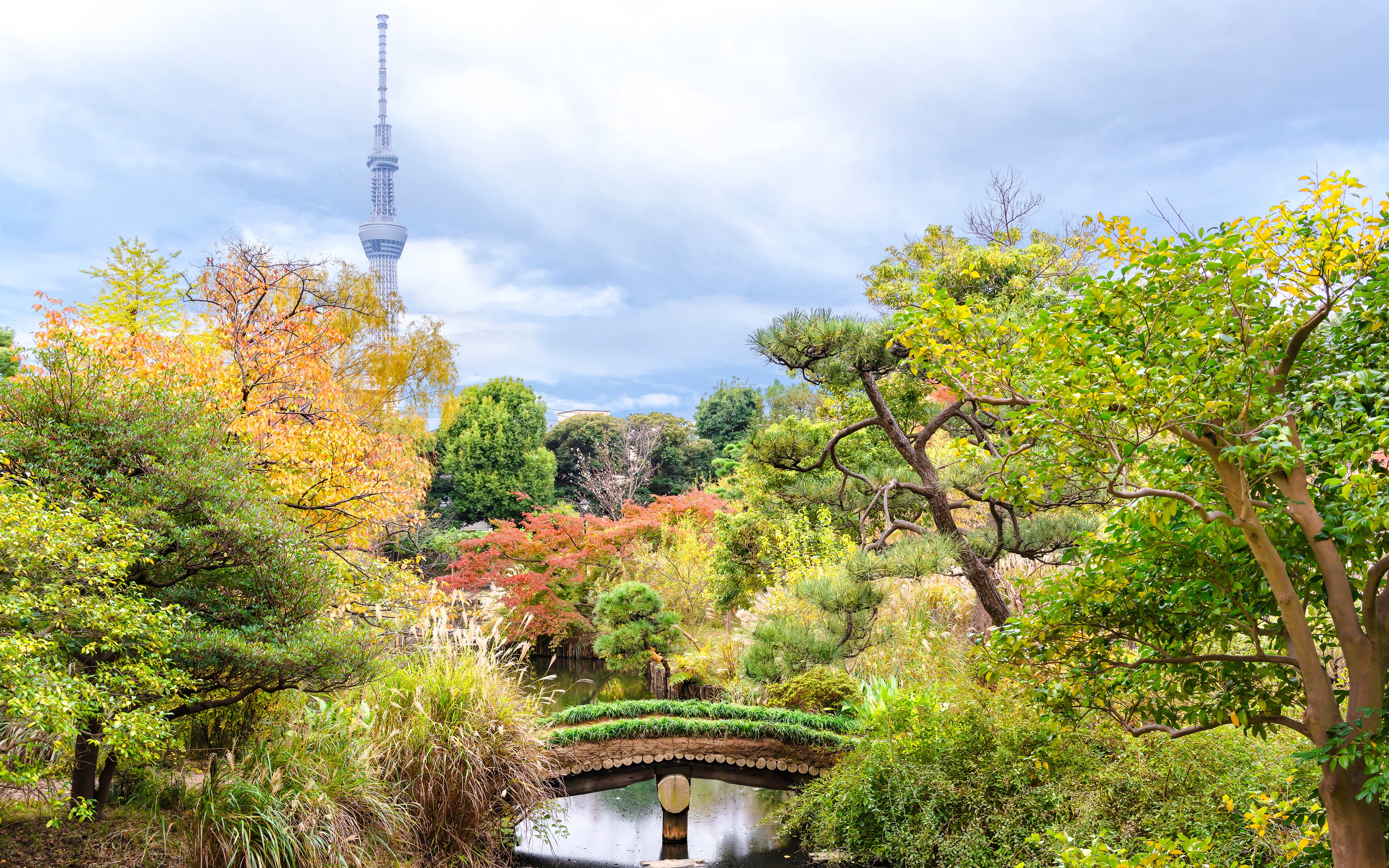 Mukojima-Hyakkaen Garden with a view of Tokyo Skytree and a traditional arched bridge.