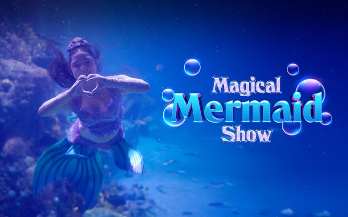 Mermaid performing underwater in the Magical Mermaid Show.
