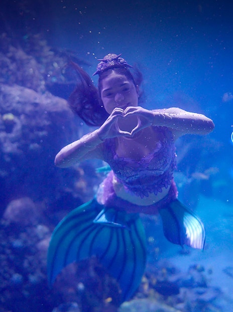 Mermaid performing underwater in the Magical Mermaid Show.