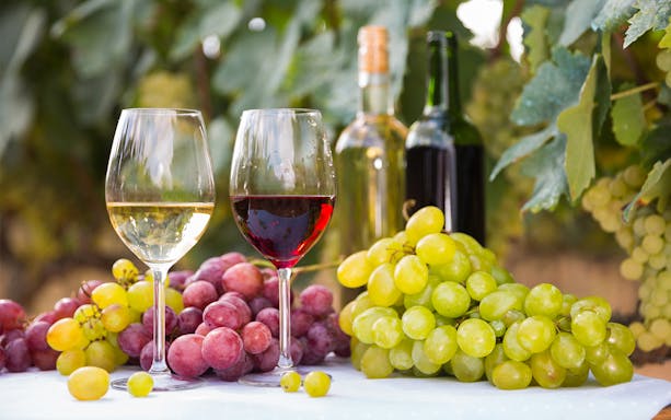 Glasses of red and white wine with green and red grapes in a vineyard setting.