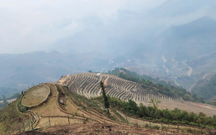 Terraced rice fields in Mu Cang Chai, Vietnam, viewed from above on a misty day.