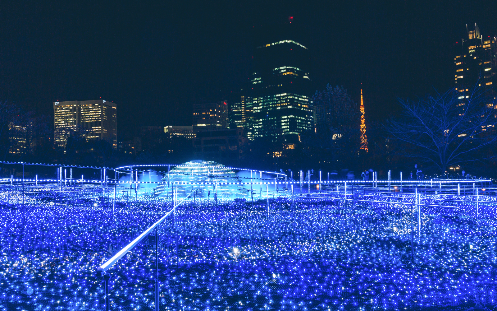 Tokyo Midnight Blue Illumination at night