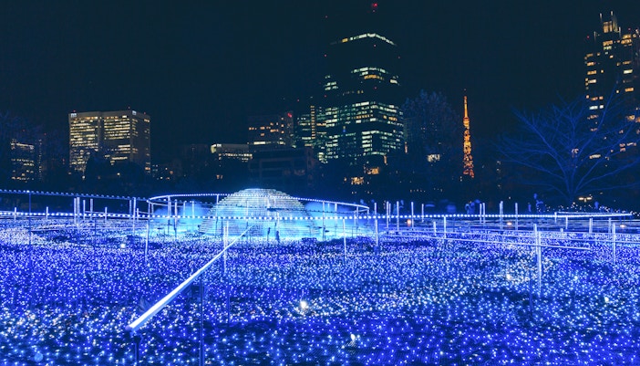 Tokyo Midnight Blue Illumination at night