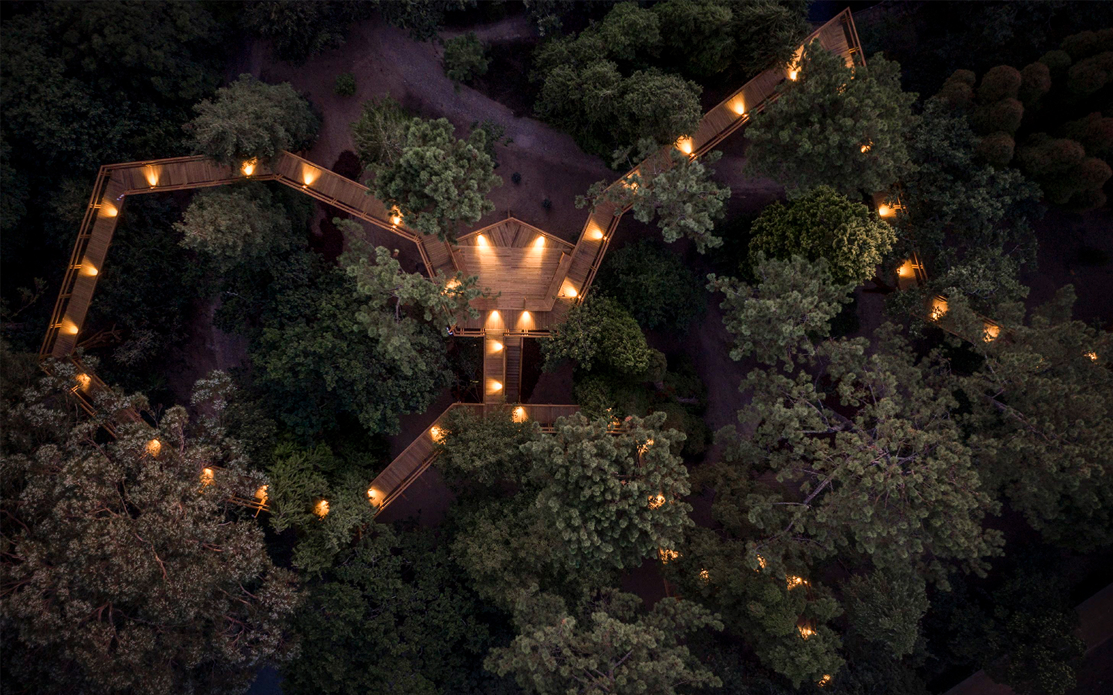 Aerial view of illuminated treetop walkway at Serralves Park, Porto, Portugal.