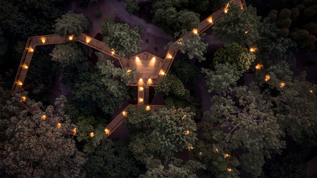 Serralves Park