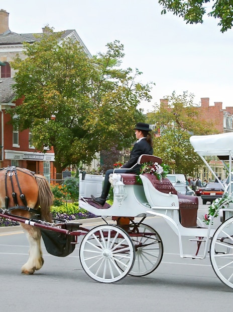 Horse-drawn carriage in Niagara-on-the-Lake, part of the Niagara Falls day tour from Toronto.