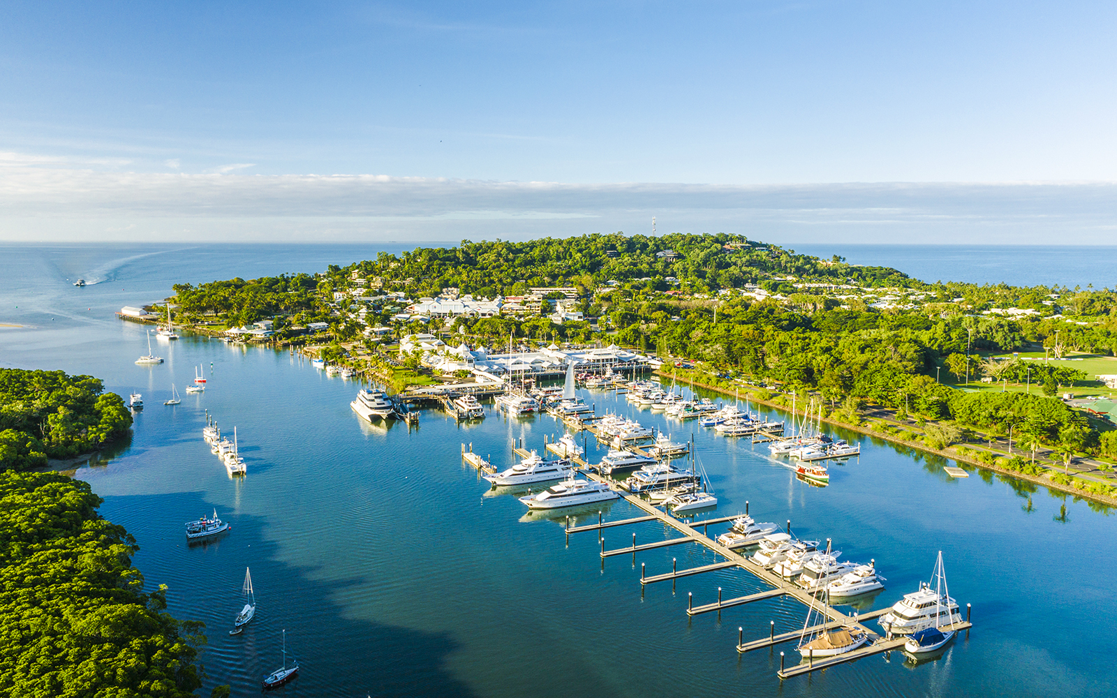 Aerial view of Port Douglas marina with boats and lush greenery.