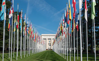 Flags lining the entrance to the United Nations Office at Geneva.