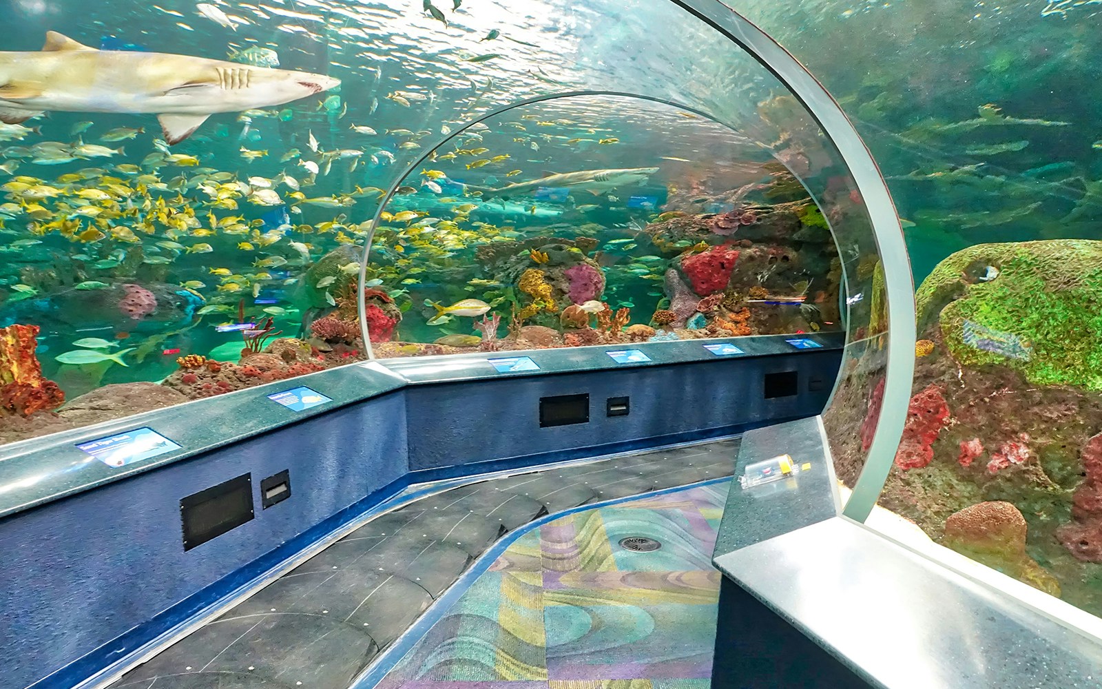 Ripley’s Aquarium of Canada