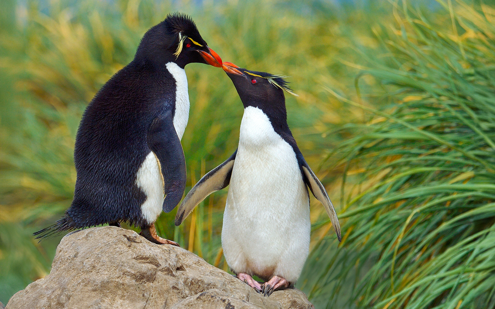 Langkawi Underwater World