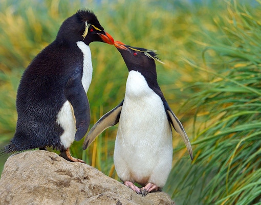 Langkawi Underwater World