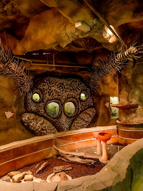 Entopia Penang exhibit featuring a giant insect sculpture and educational displays.