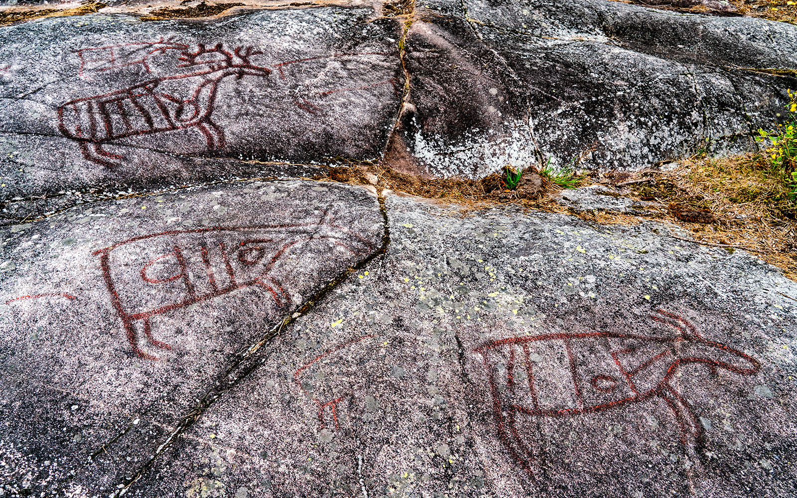 Grabados de la Edad de Piedra de Salthammeren