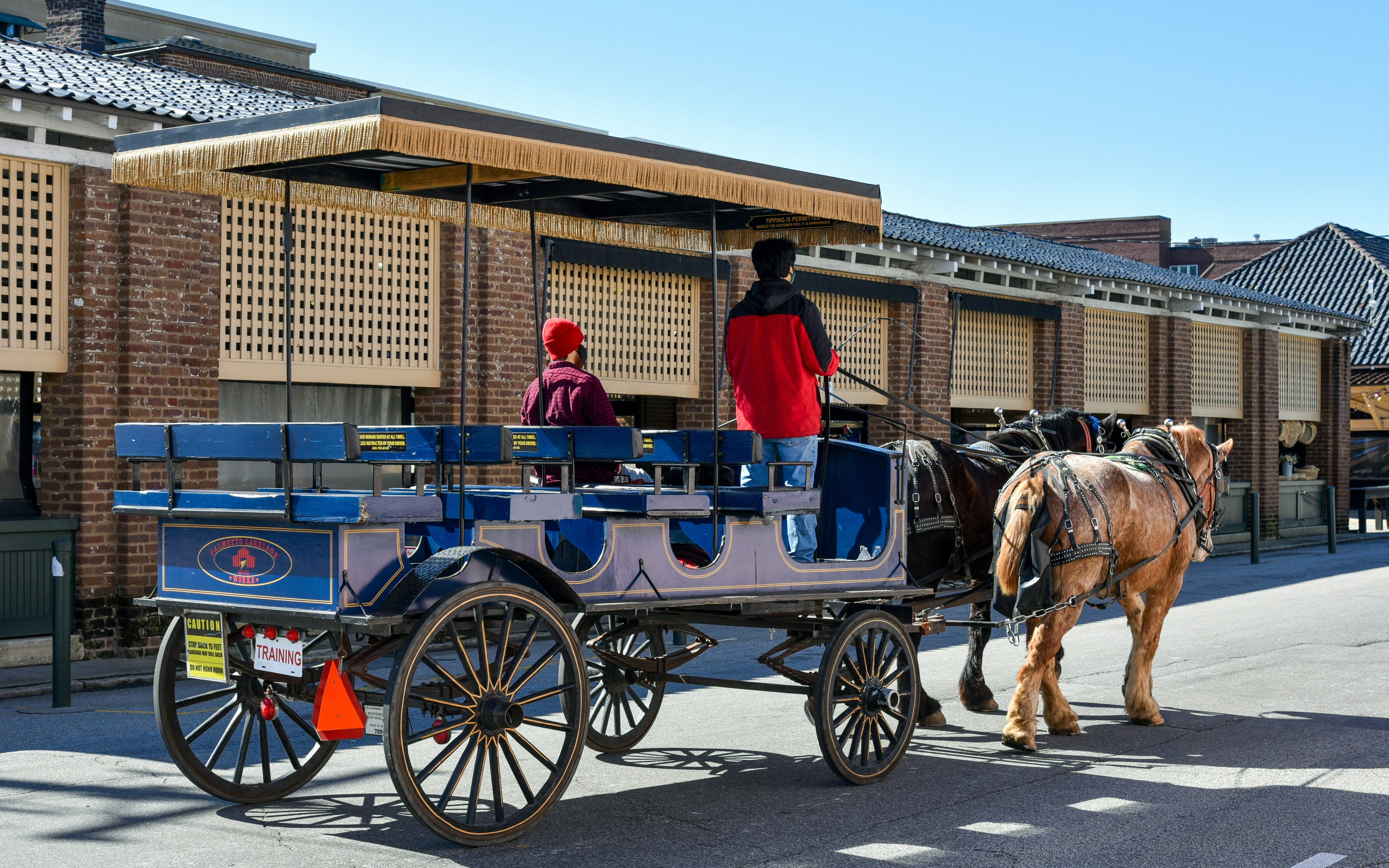 Horse-drawn carriage on a street in historic Charleston, South Carolina.