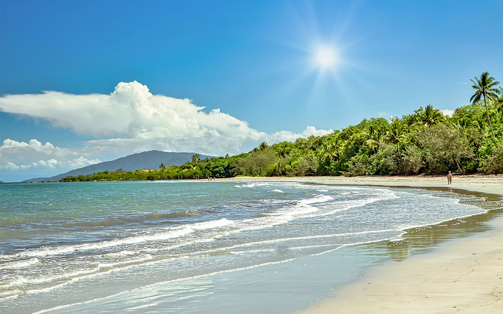 Tropical beach with lush greenery and mountains in Daintree National Park, Australia.