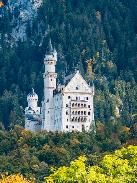 Neuschwanstein Castle surrounded by forested hills, part of the Skip The Line tour from Munich.