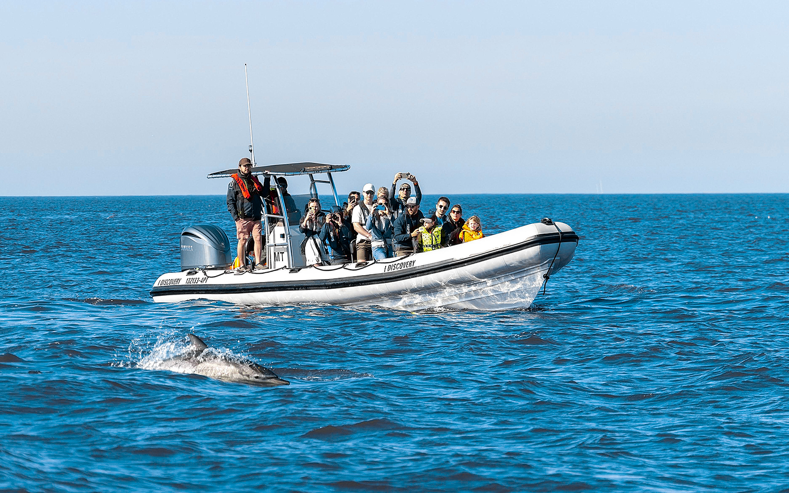 Tourists on boat watching dolphin during guided tour.