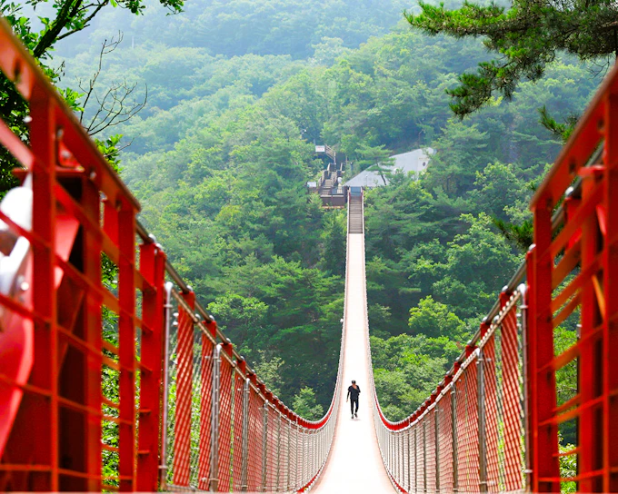 From Seoul: DMZ Day Tour with Mt. Gamaksan Suspension Bridge Visit