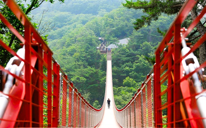 Suspension bridge in lush forest on Korean Demilitarized Zone tour.