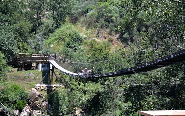Visitors crossing 516 Arouca Suspension Bridge surrounded by lush greenery in Portugal.