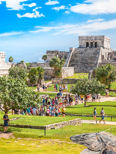Iguana on Tulum ruins with tourists exploring ancient site in Mexico.