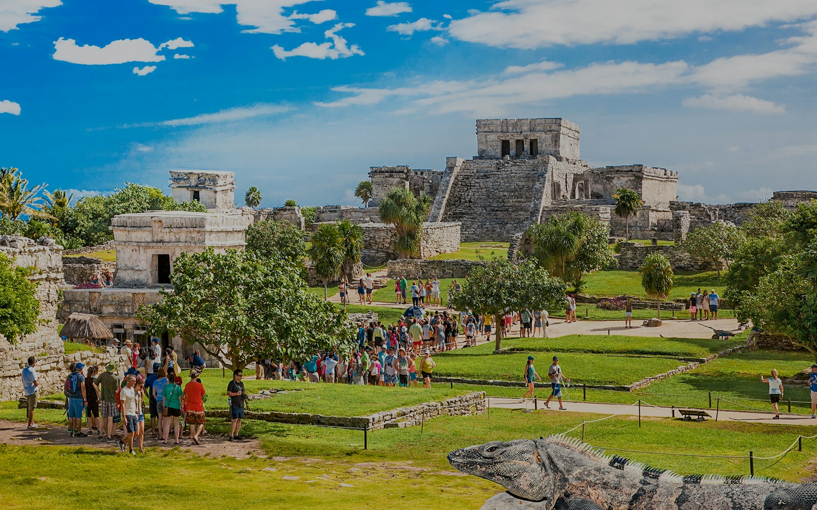 Iguana perched on ancient stone ruins at Tulum archaeological site, Mexico.