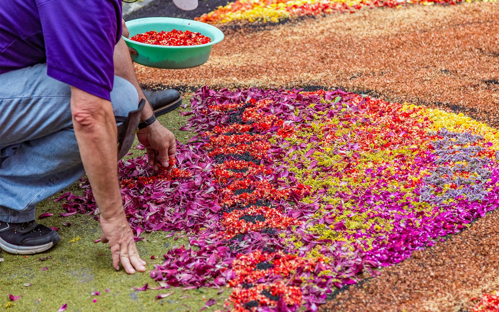 Creating a floral carpet during a summer festival in Rome.