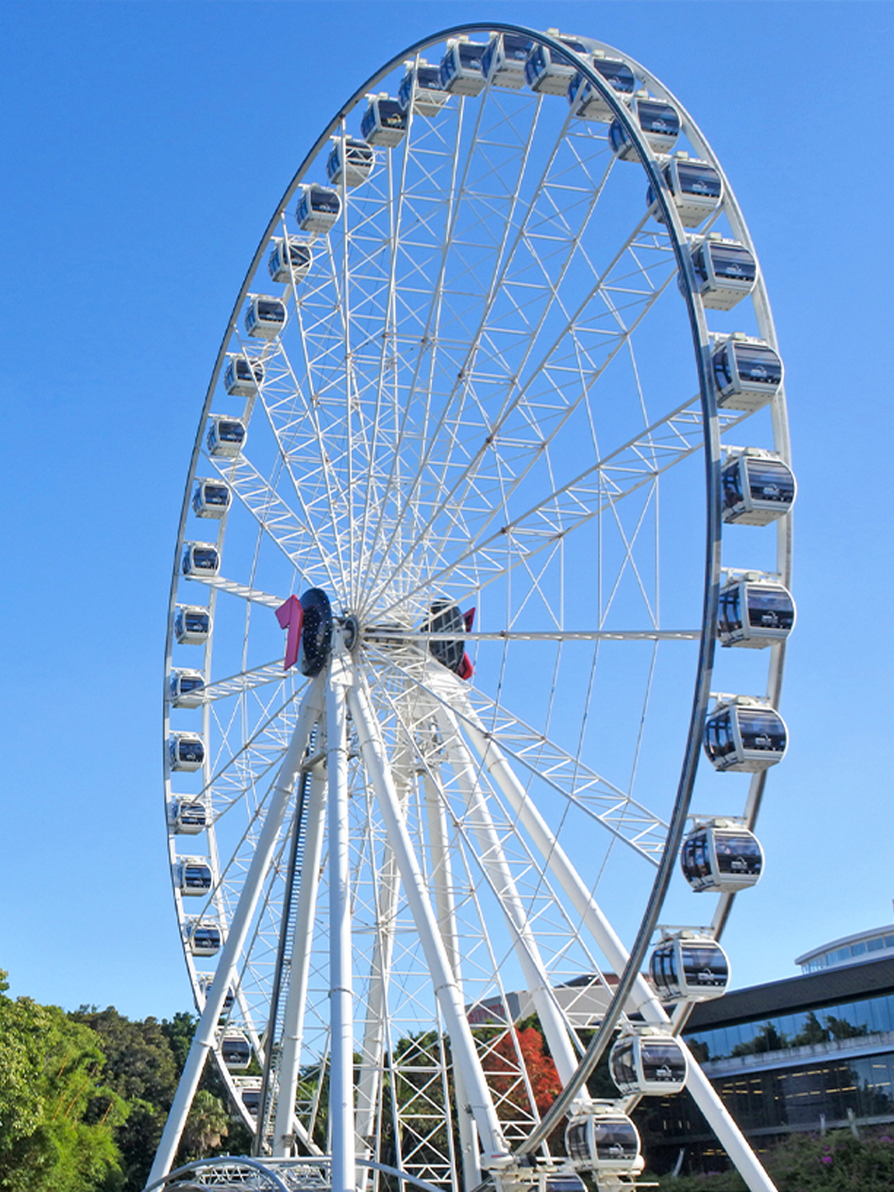 The Wheel of Brisbane