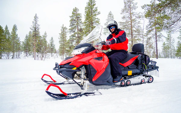 Rovaniemi: Snowmobile tour and reindeer experience