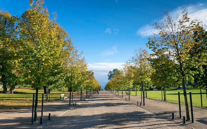 Pathway lined with trees in Kaivopuisto city park, Helsinki, Finland, on a sunny day.