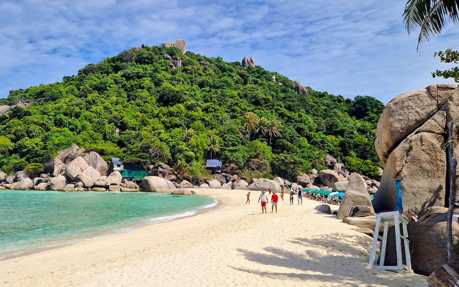 From Koh Tao: Private Longtail Boat Tour with Snorkeling and Koh Nang Yuan Image 2