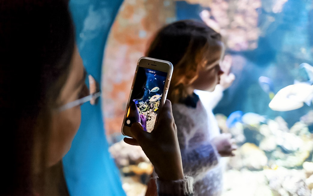 Visitors photographing fish at Livorno Aquarium.