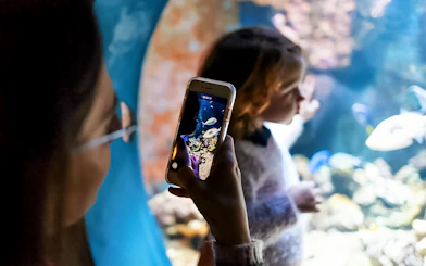 Visitors photographing fish at Livorno Aquarium.