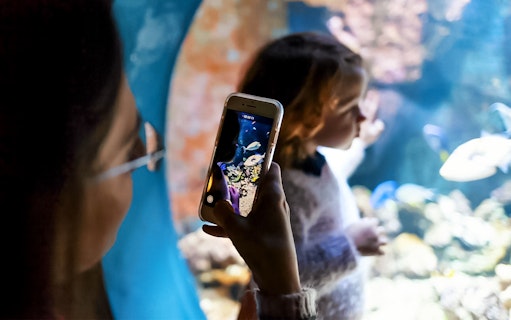 Visitors photographing fish at Livorno Aquarium.