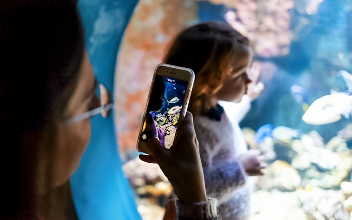 Visitors photographing fish at Livorno Aquarium.