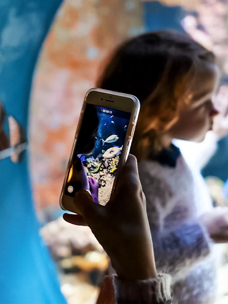 Visitors photographing fish at Livorno Aquarium.