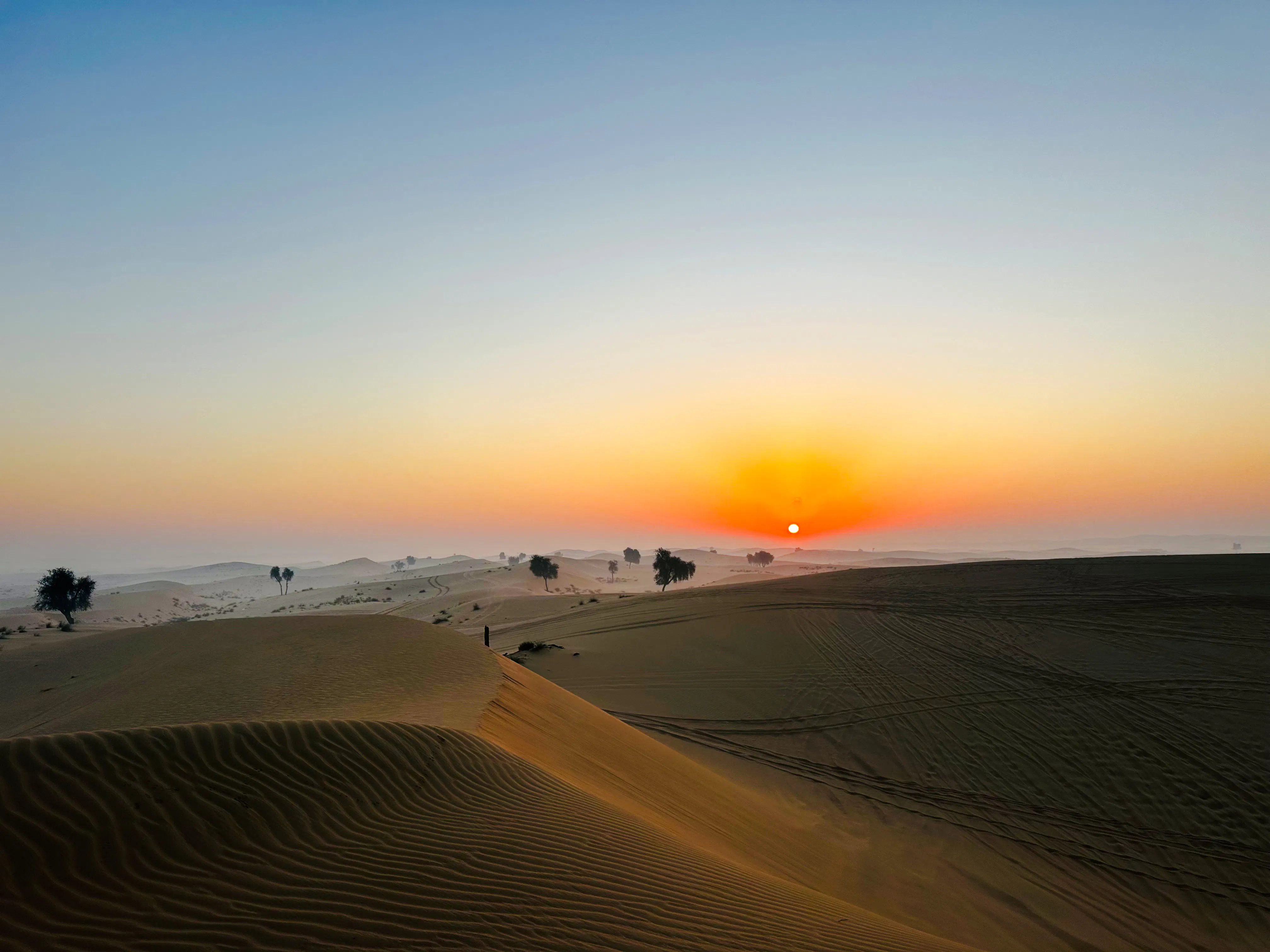 Sunrise over sand dunes in Abu Dhabi desert, highlighting camel tracks and sparse vegetation.