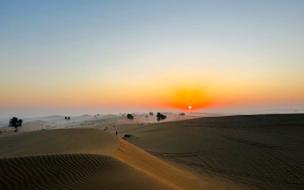 Sunrise over sand dunes in Abu Dhabi desert, highlighting camel tracks and sparse vegetation.