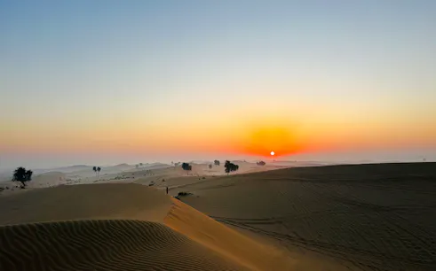 Sunrise over sand dunes in Abu Dhabi desert, highlighting camel tracks and sparse vegetation.